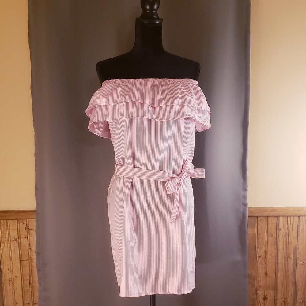 NWOT Pink and white striped dress